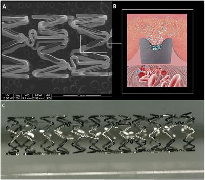 Safety and Efficacy of Rapamycin-Eluting Vertebral Stents in Patients With Symptomatic Extracranial Vertebral Artery Stenosis